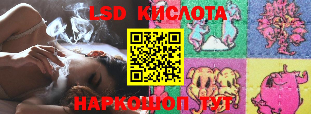 omg tor  LSD-25 экстази  Вход с VPN  Лсд 25 экстази кислота  Лсд 25 экстази ecstasy  Видное 