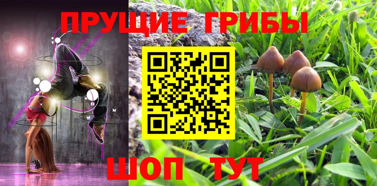 Видное  Галлюциногенные грибы мицелий  Вход с VPN 