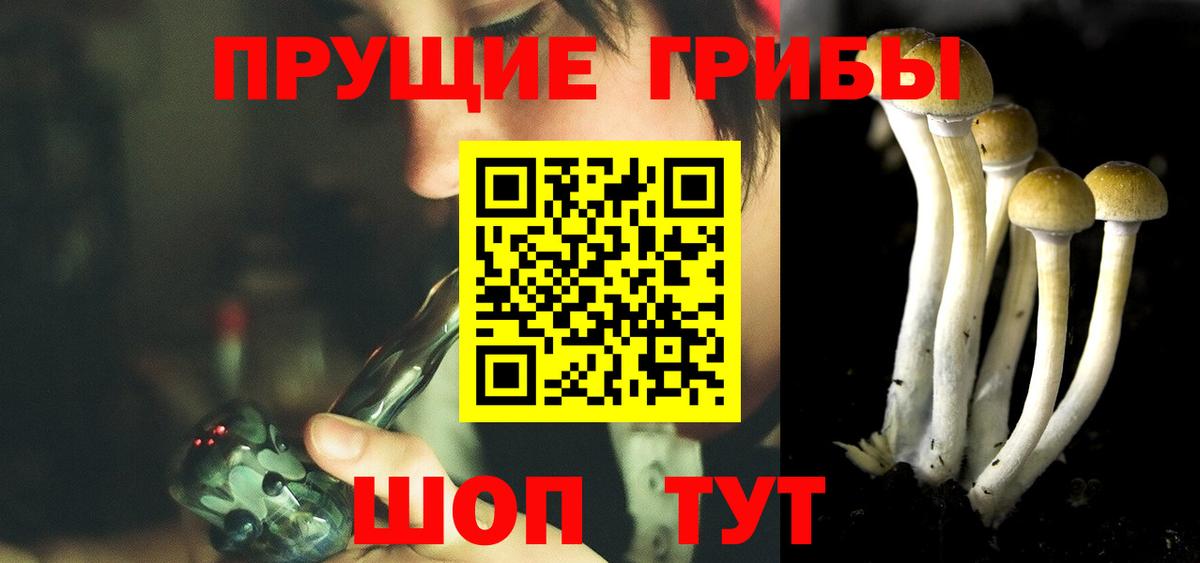 Галлюциногенные грибы Cubensis Видное